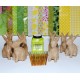 Rabbit Party Kit for 10 Children